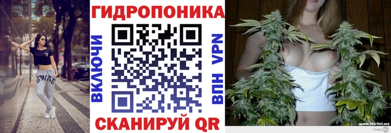 ОМГ ОМГ как зайти  Сафоново  сайты даркнета наркотические препараты  Канабис ГИДРОПОН 